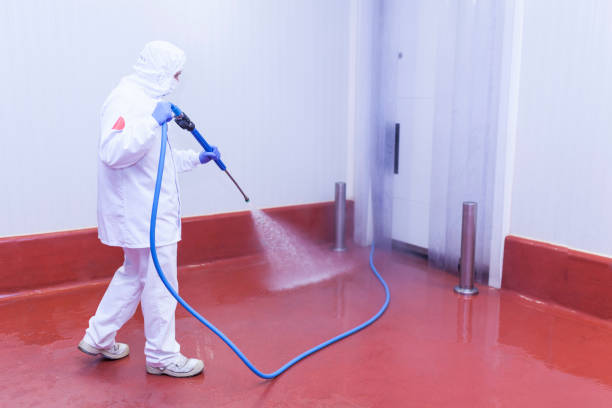 Best Driveway Pressure Washing  in , VT